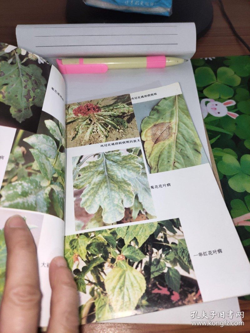 花卉病虫害防治